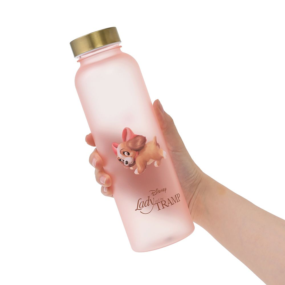 disney-4550586322042-2.jpg 樹脂水瓶 590ml レディ 水筒・ウォーターボトル フロスト レトロクラシック Drinkware DSJ2607C