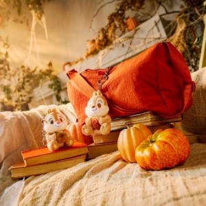 公仔 Chip ''Fall Vibes'' Plush Keychain Bag Charm – 4 1/2'' – Exclusive DSUS2608A